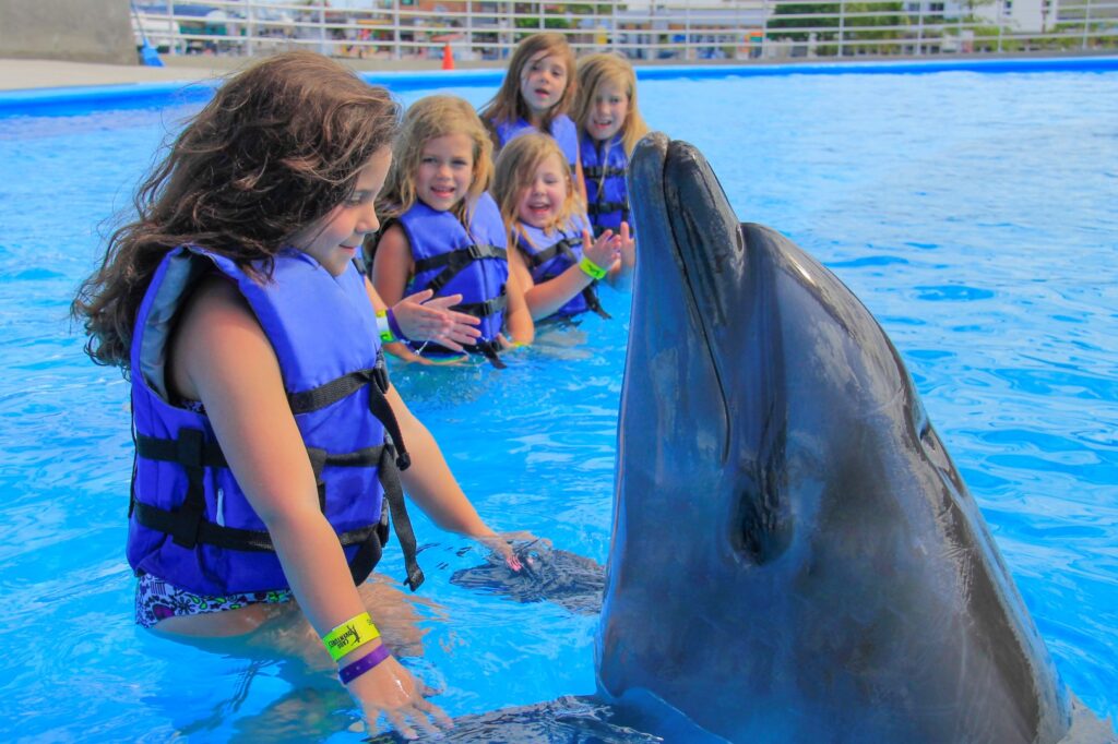 Nado con delfines niños, tours hoteles Solaris
