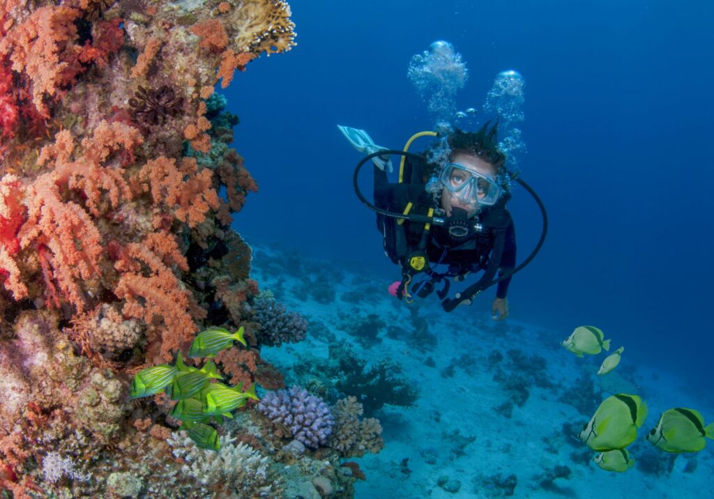 Buceo en las profundidades del mar y arrecifes